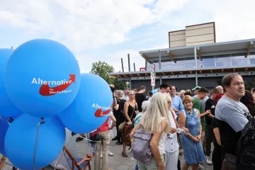 Zahraniční odborníci i německé firmy se obávají AfD