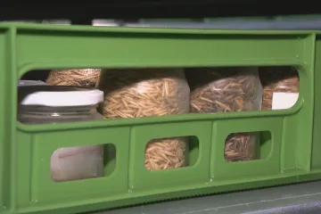 Čeští vědci ukládají semena důležitých rostlin na Špicberkách