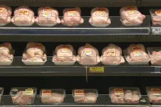 Do Česka se dostaly další dvě zásilky kuřecího masa se salmonelou z Polska. Část se již snědla