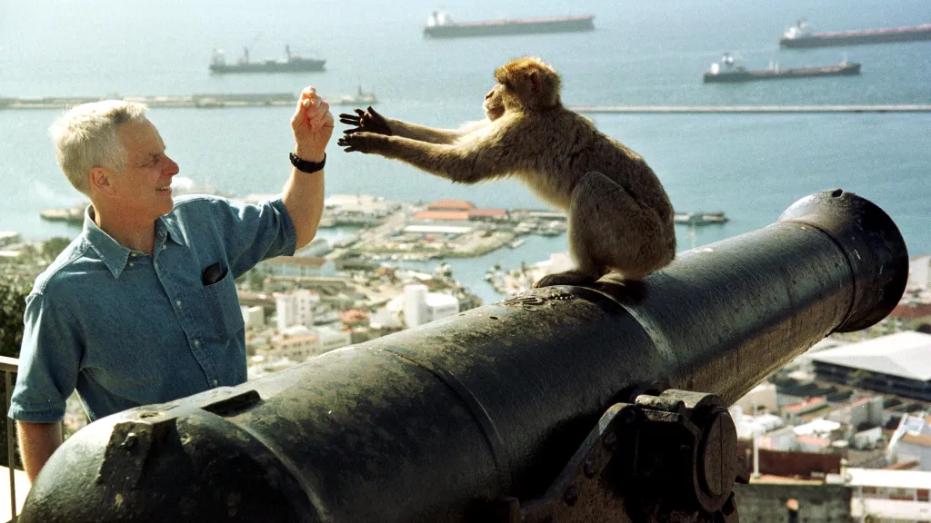 Makakové na Gibraltaru získávají významnou část potravy od turistů
