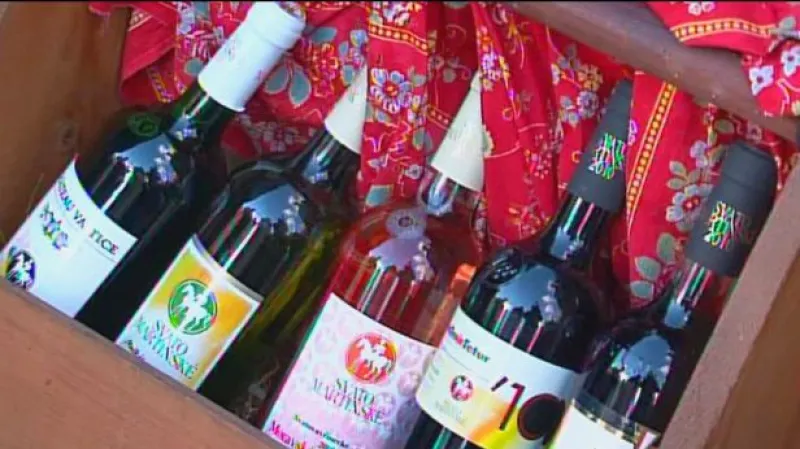 Vstup Elišky Bučinové