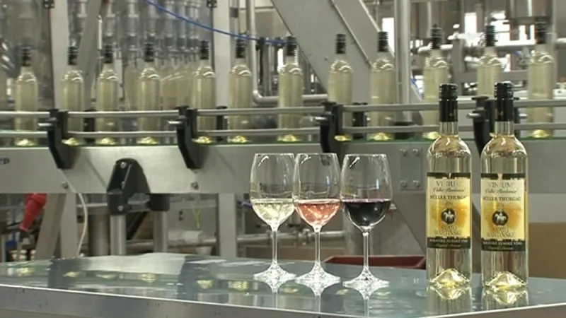 Svatomartinské 2012