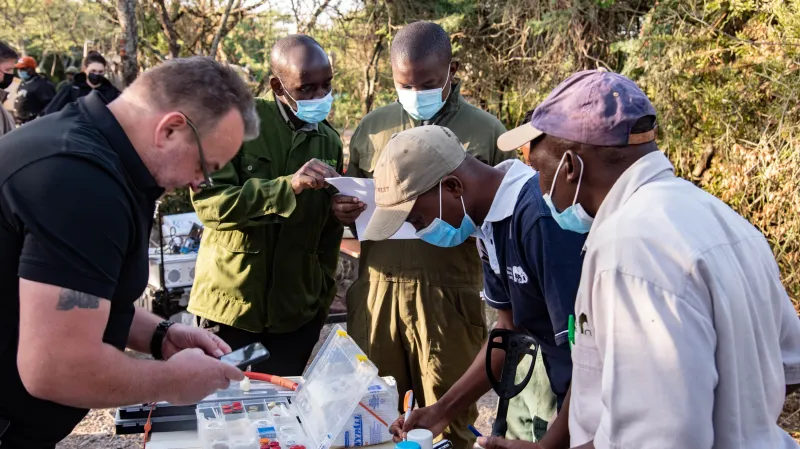 Záchrana nosorožců pomocí kmenových buněk