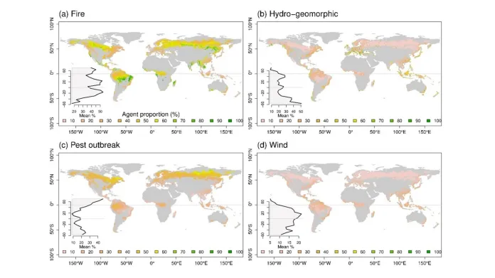 Současné rozložení jednotlivých činitelů, které způsobují mortalitu v lesních ekosystémech na globální škále: A: požáry, B: záplavy a sesuvy půdy, C: škůdci a choroby, D: vítr