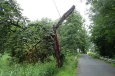 Popadané stromy zastavily vlaky v Libereckém kraji, zablokovaly i silnici u Železného Brodu
