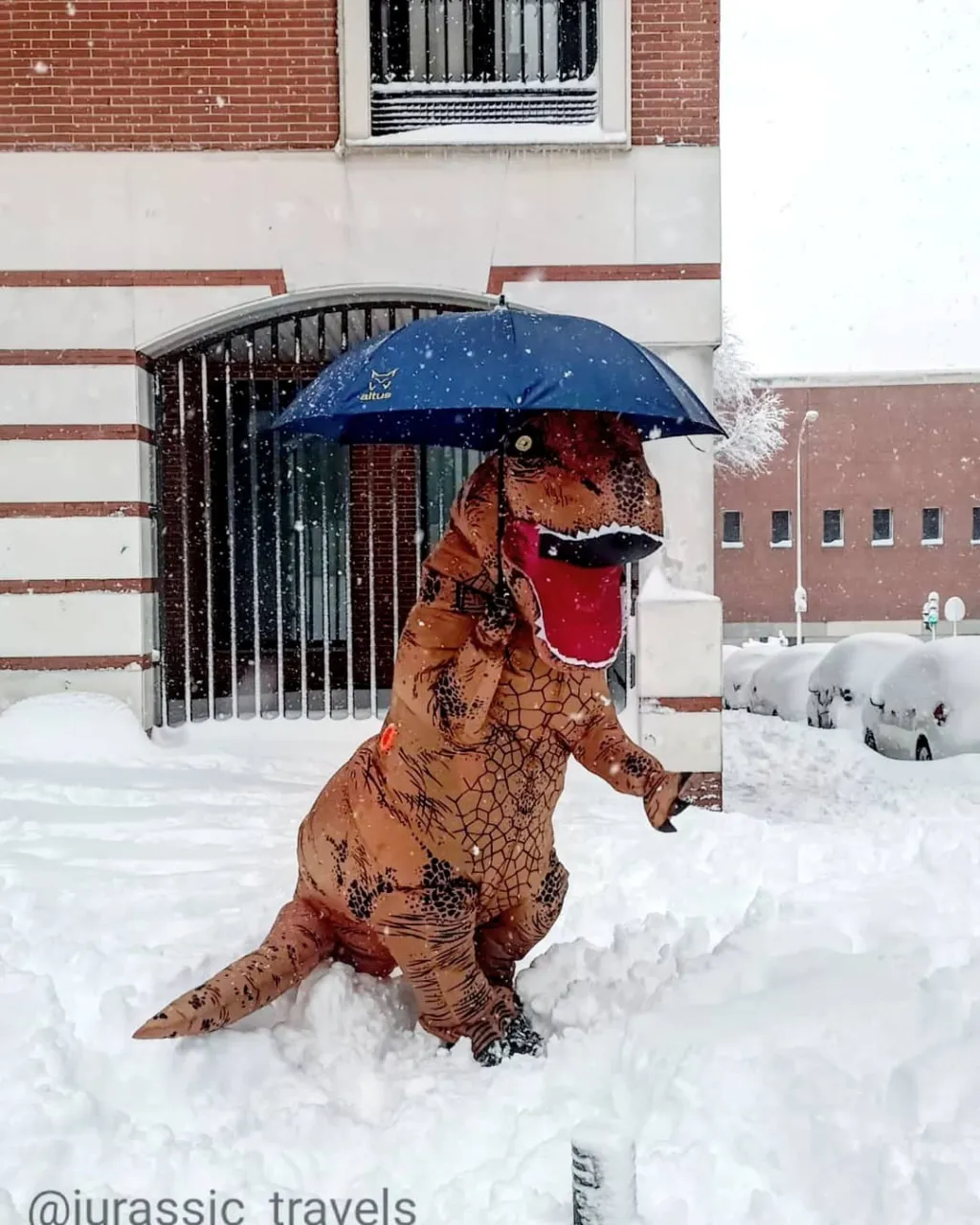 Španělský Madrid sužuje překvapivý příval sněhu. Co jiným dělalo starosti, to druzí považují za zábavu. Osoba v kostýmu T-Rexe si vyrazila do ulic města s děštníkem, který ji chrání před padajícím sněhem.