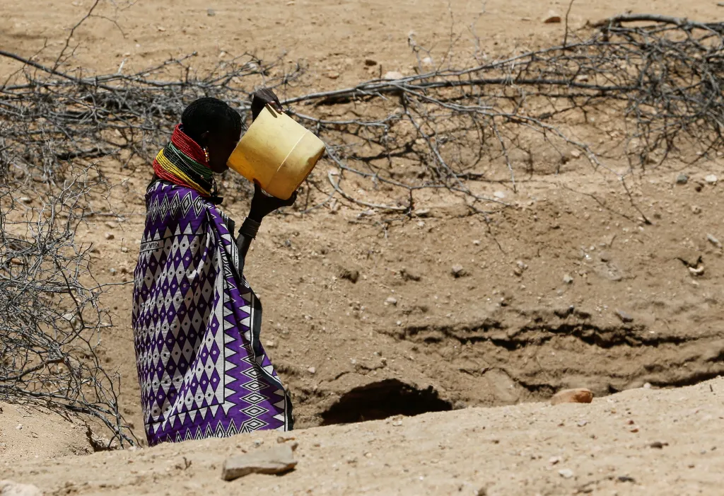 Sucho v Keni zabíjí ohrožená zvířata