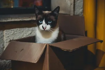 Kvantová teorie mate už sto let. Přední experti se shodují na tom, že se neshodnou