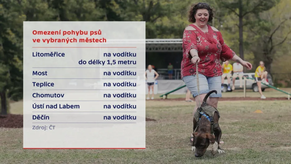 Omezení pohybu psů ve vybraných městech