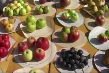 8. ročník Jablečných slavností v Hostětíně