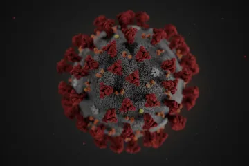 Běžná rýma je schopná porazit nový koronavirus. Nachlazení covid nepustí do těla