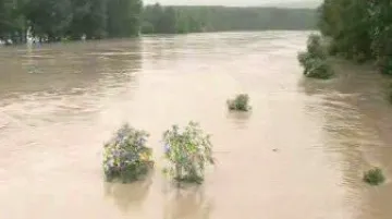 Rozvodněná řeka