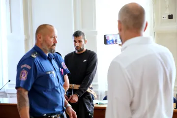 Muži, který v Brně pobodal školačku, hrozí výjimečný trest