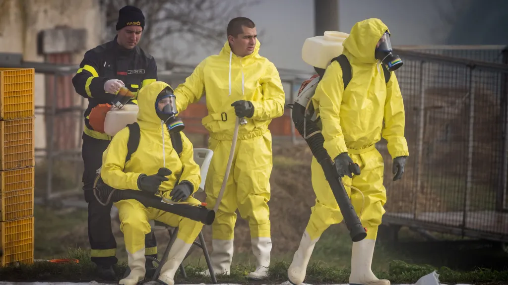 Ilustrační foto – likvidace drůbeže nakažené ptačí chřipkou