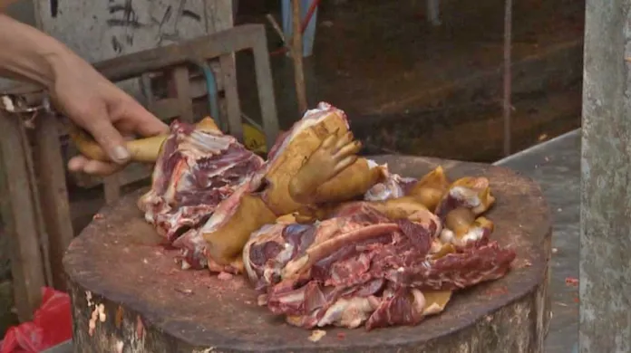 Zpracování psího masa v Číně