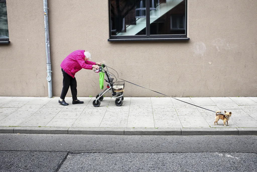 Vítěz v Open kategorii Pouliční fotografie. Nejelegantnější dáma v širém okolí. Vždy v dobré náladě, barevně oděná, nikdy si na nic nestěžující i přes svůj vysoký věk, pokaždé v doprovodu svého mazlíčka.
