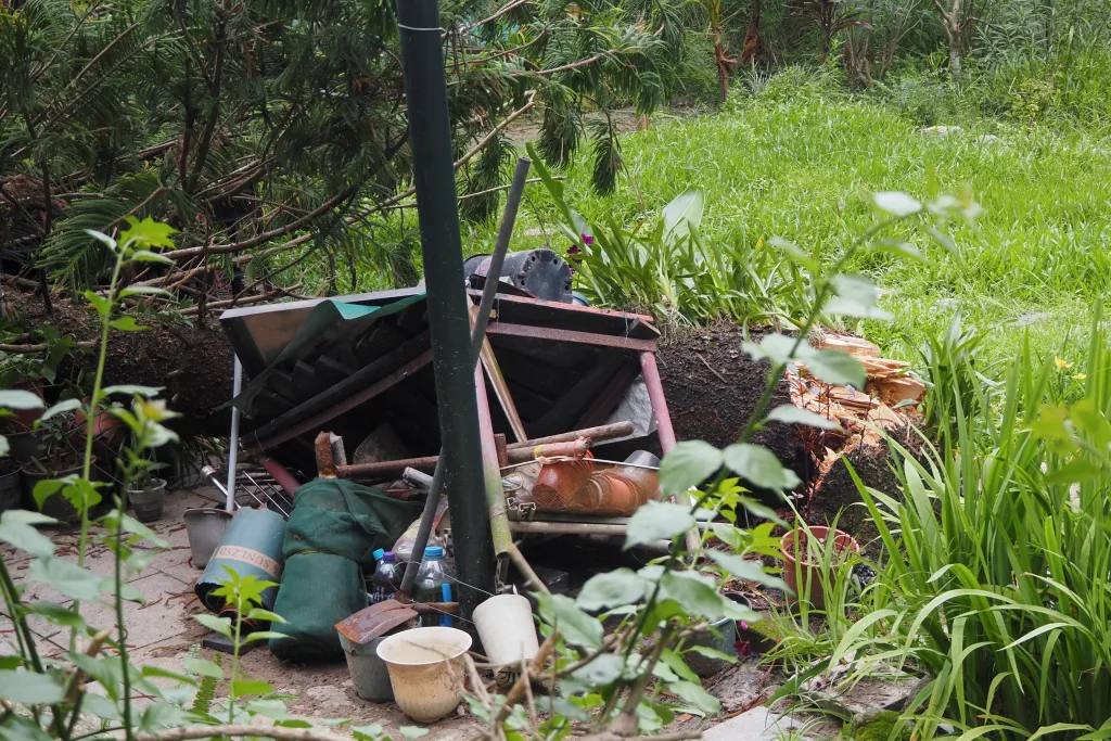 Padlý strom na čínském ostrově Lantau poblíž Hongkongu