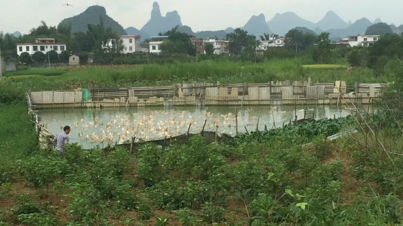 Nové domky mění tradiční čínskou vesnici