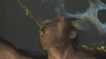 První návštěvníci u Lucy