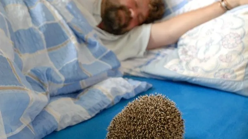 S ježkem v posteli...