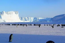 Z antarktického dna uniká metan, varují vědci. Pandemie jim brání ve výzkumu