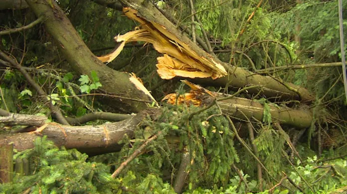 Reportáž: Liberecko v sobotu zasáhla silná bouřka