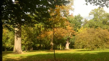 Vlašimský park se svými staletými stromy