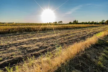 Sněmovna schválila vyšší ochranu nejlepší zemědělské půdy v mírnější podobě