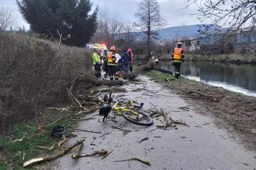 Jihomoravské hasiče zaměstnal silný vítr, lámal stromy