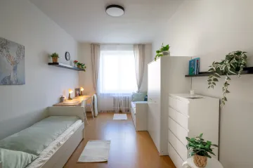 V Praze vznikl pro oběti domácího násilí nový krizový byt. Je jich nedostatek