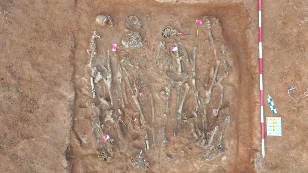 Hromadný hrob na D11