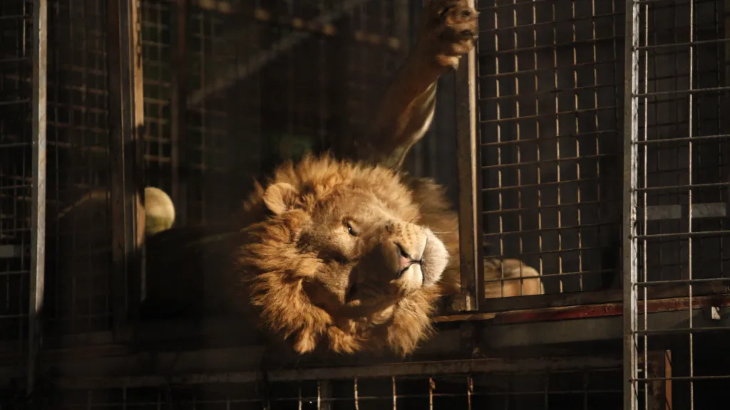 Ilustrační fotografie