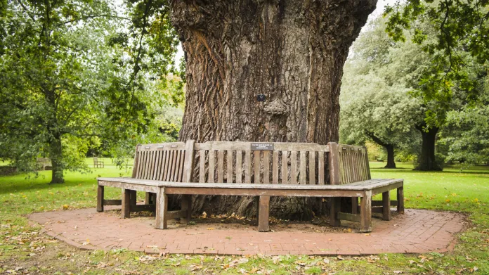 Zahradní lavička se štítkem na památku posádky letu PanAm103 v Kew Gardens v Londýně
