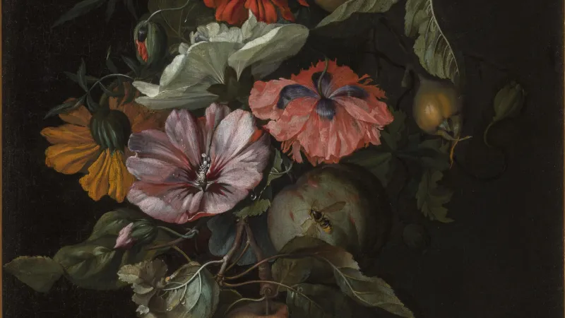 Rachel Ruyschová, Feston s ovocem a květinami, 1682 (z výstavy Ženy, mistryně, umělkyně v NGP)