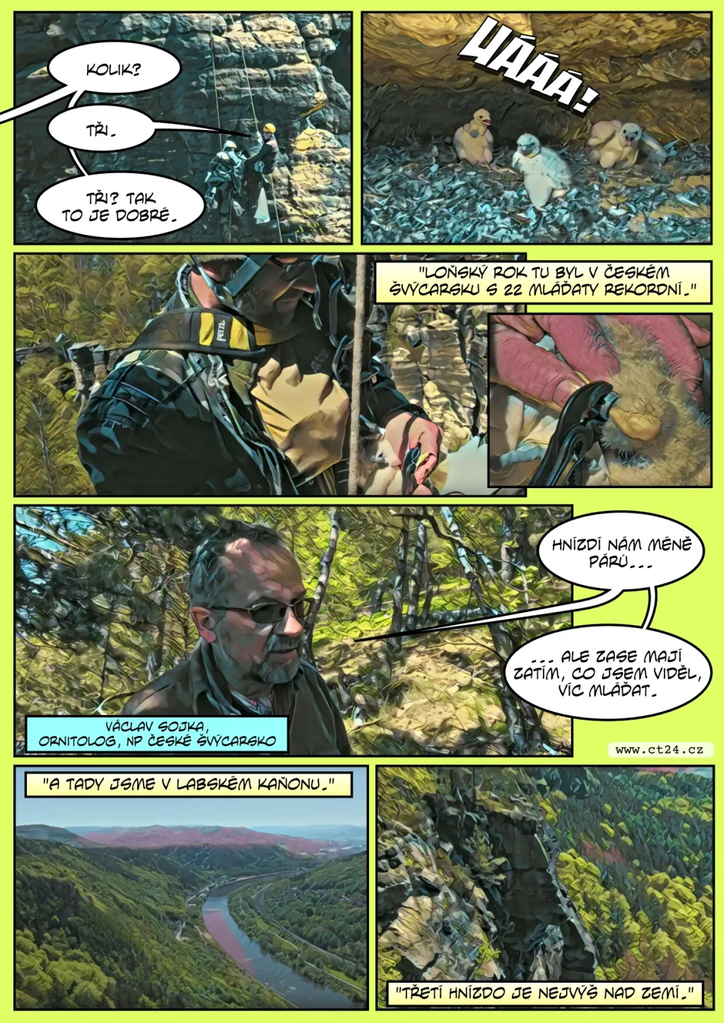 Kroužkování malých sokolů