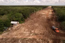 Ekonomika proti přírodě. Tropické lesy na Yucatánu protne železnice