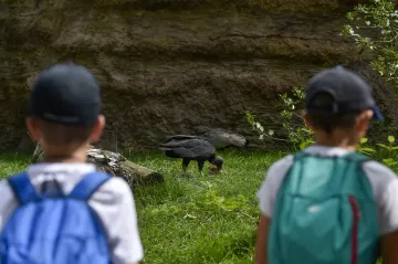 V ostravské zoo létají exotičtí ptáci návštěvníkům nad hlavou