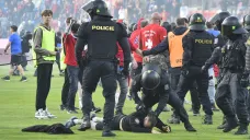 Policisté zasahují proti fanouškům na fotbalovém stadionu v Plzni