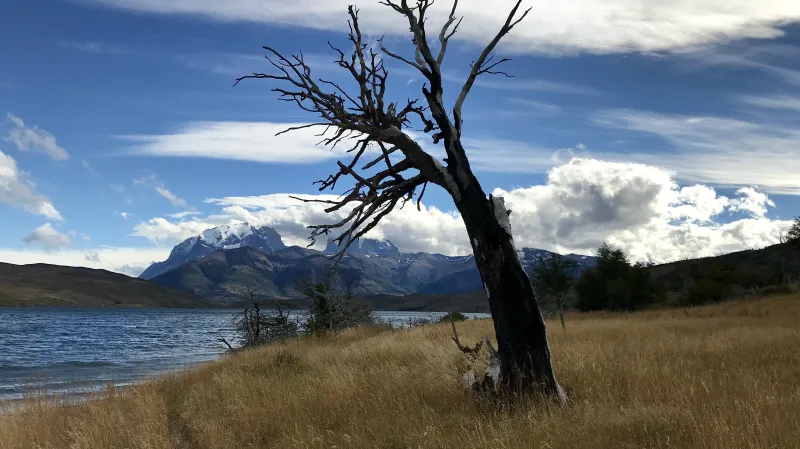 Puerto Natales a park Torres del Paine