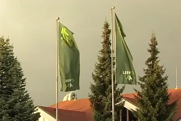 Těžba dřeva ve státních lesích bude od příštího roku ještě průhlednější