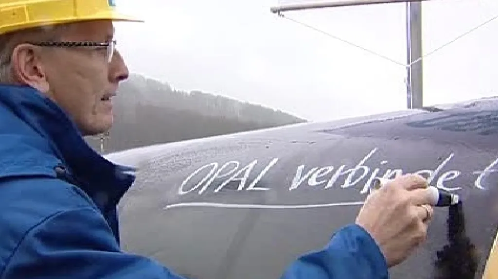 Svatba Opalu s Gazelou