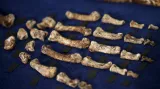Kosterní pozůstatky Homo naledi