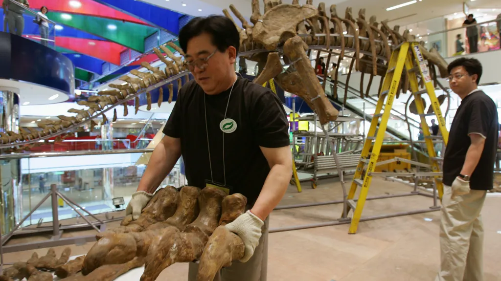 Mamenchisaurus
