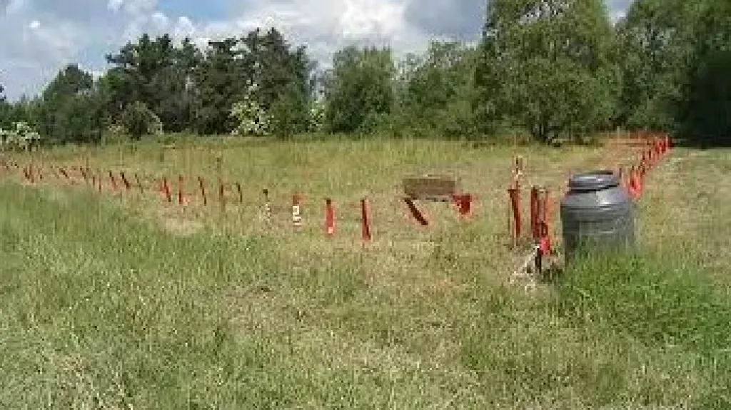 Červené fáborky