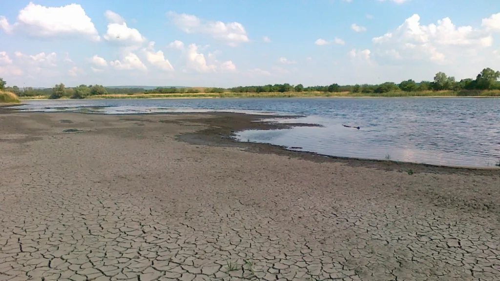 Správce rybníků trápí nadměrné sucho