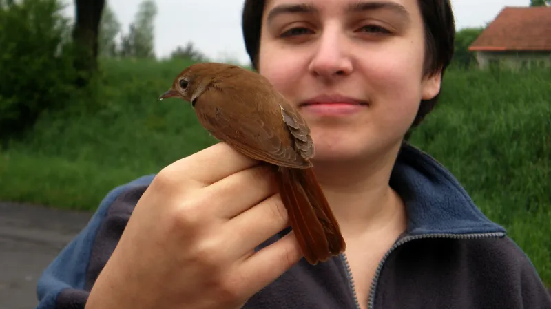 Anna Pikešová a slavík