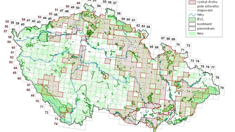 Výskyt vrápence malého