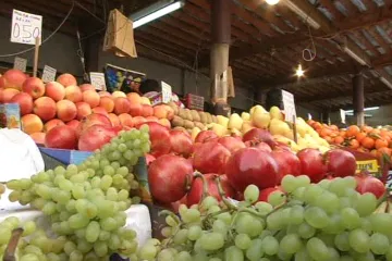 Morava hlásí neúrodu, bude nedostatek ovoce