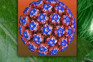 Rakovina čípku se šíří sexem, očkování pomáhá i mužům