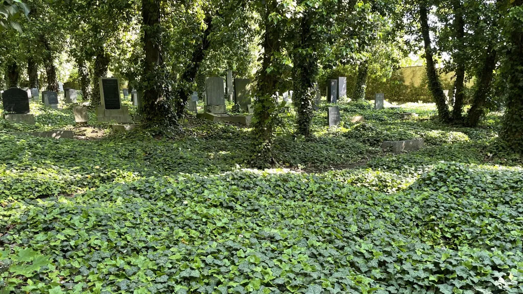 Neoznačené židovské hroby